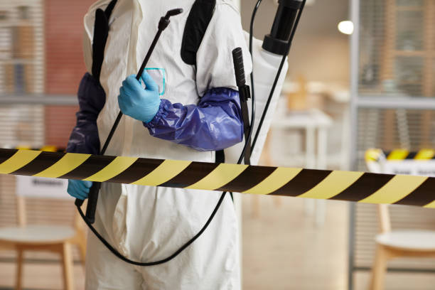 Professional Sewage Cleanup technician working in Virginia, NE