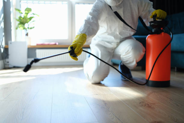 Reliable Sewage Cleanup contractor in Virginia, NE by Trauma Clean Pros